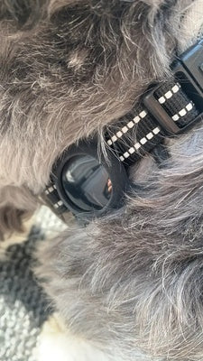 <p><strong>Zákaznické Recenze</strong></p>