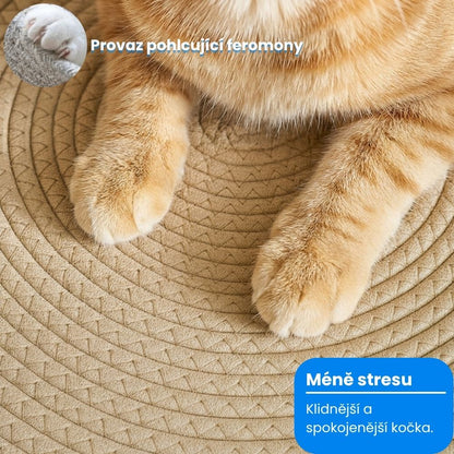 Haven Basket™ - Přirozený prostor pro bytové kočky založený na výzkumu