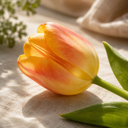 Dekorativní svítící kytice tulipánů