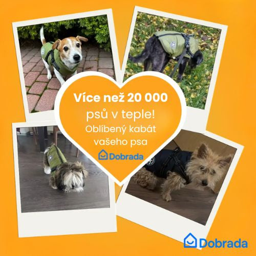 Dobrada – Zimní kabát 3 v 1