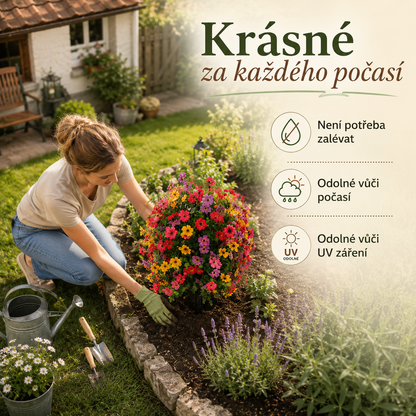 Květiny ForeverBloom™, které nikdy neuvadnou