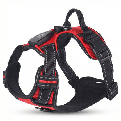 Dobrada SvítícíOchrana™ – Svítící bezpečnostní postroj pro psy