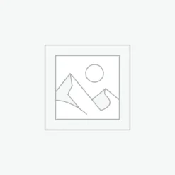 Uncategorized
